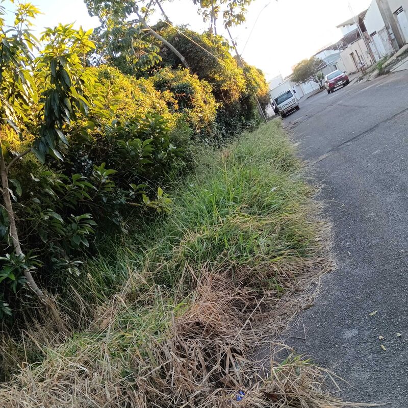 Imagem da publicação