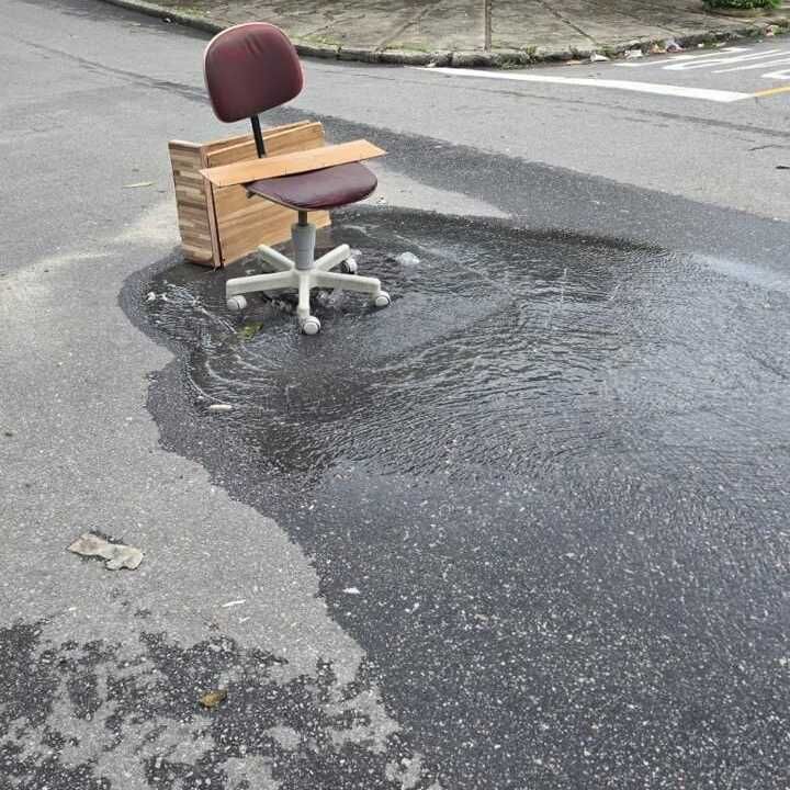 Imagem da publicação
