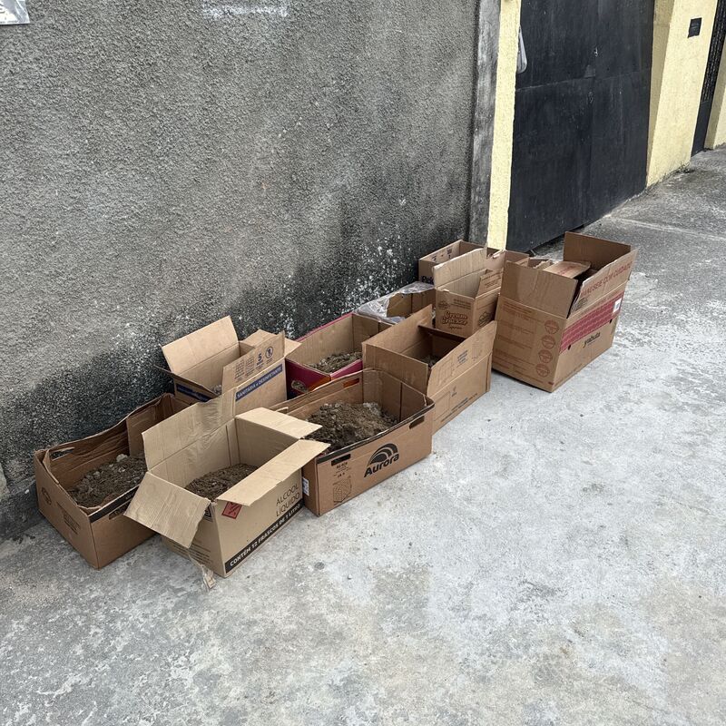 Imagem da publicação