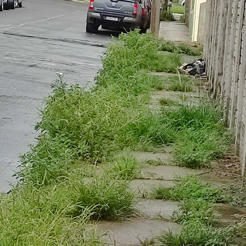 Imagem da publicação