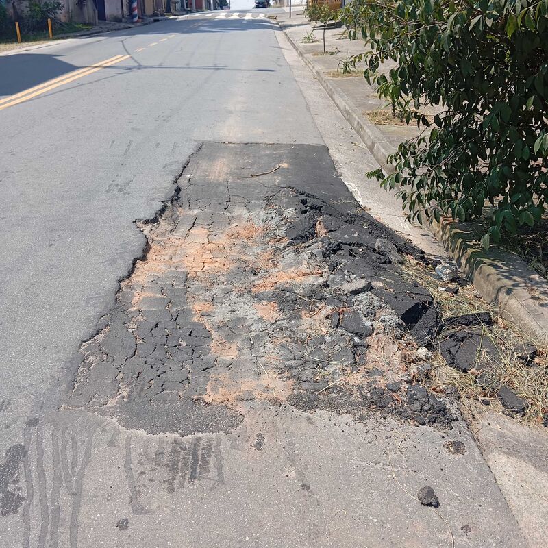 Imagem da publicação