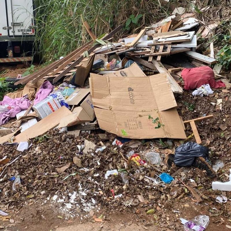 Imagem da publicação