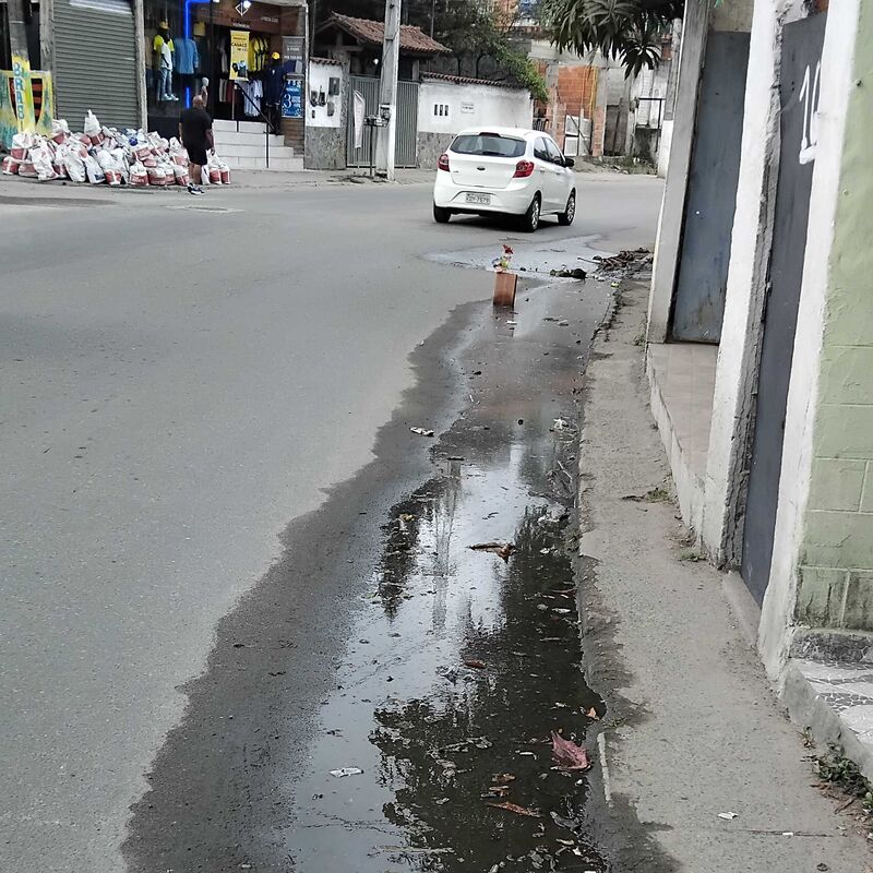 Imagem da publicação