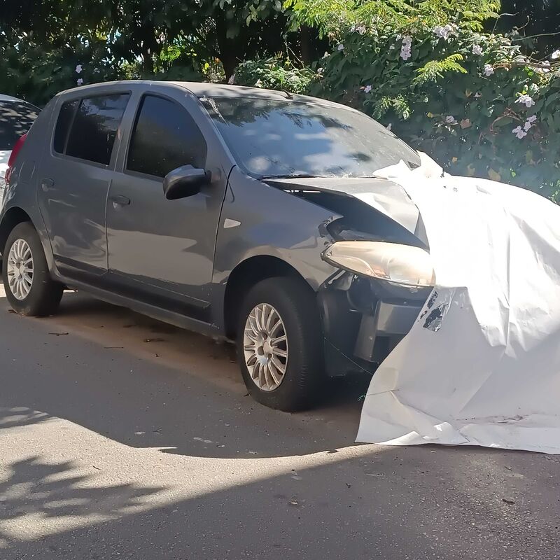 Imagem da publicação