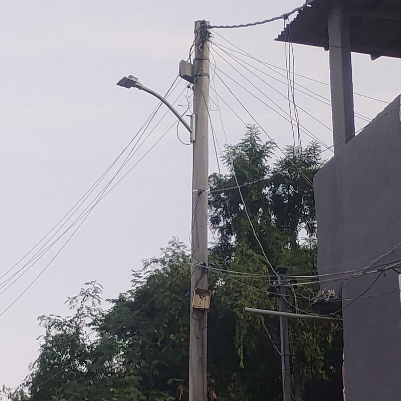 Imagem da publicação
