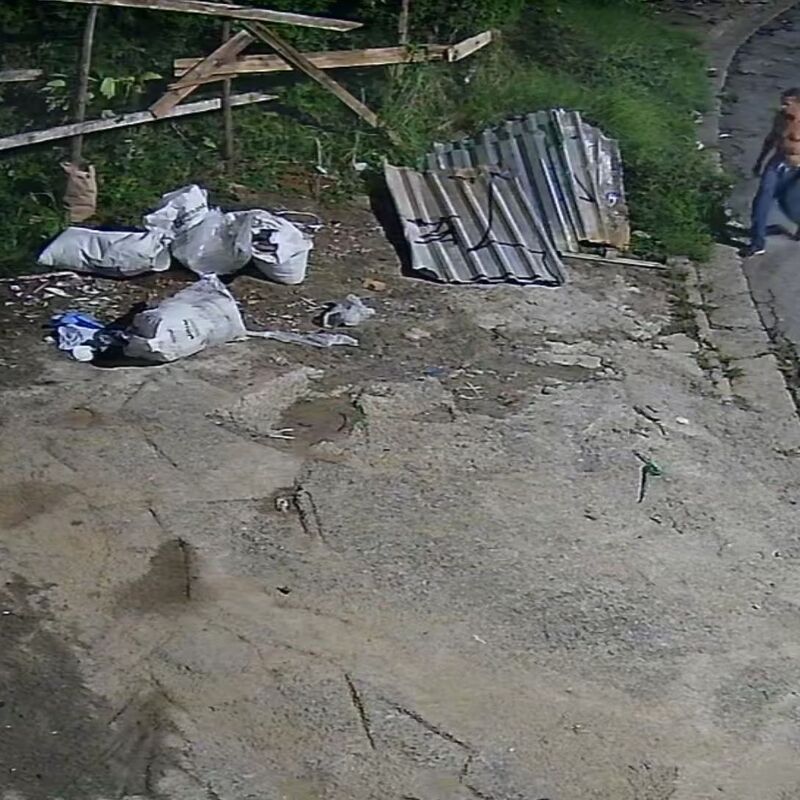 Imagem da publicação