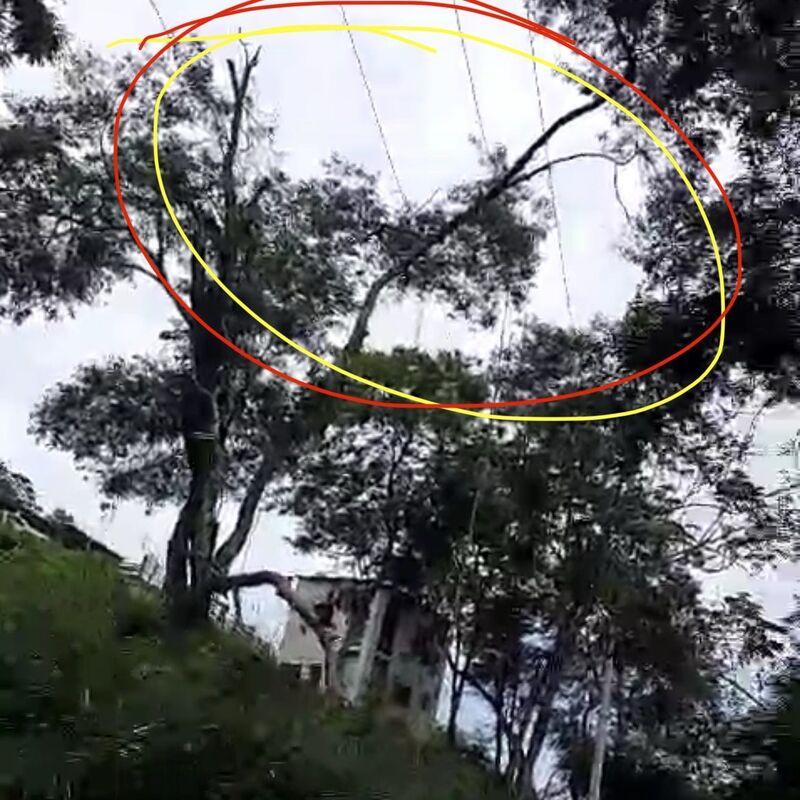 Imagem da publicação