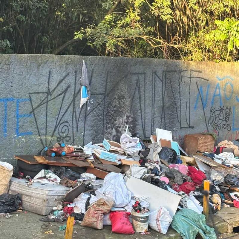 Imagem da publicação