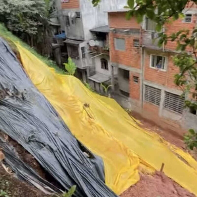 Imagem da publicação