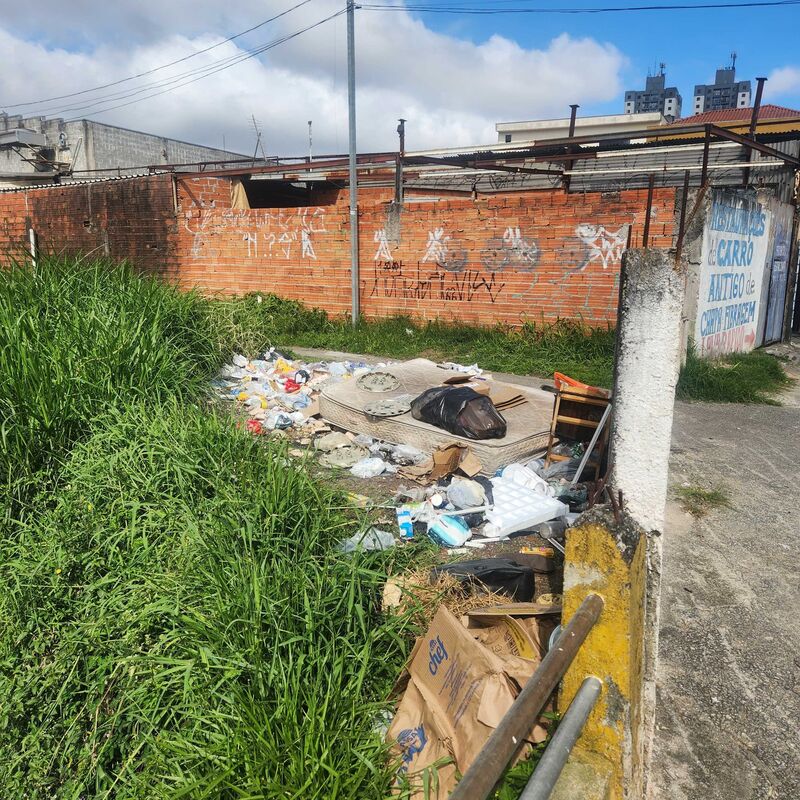 Imagem da publicação
