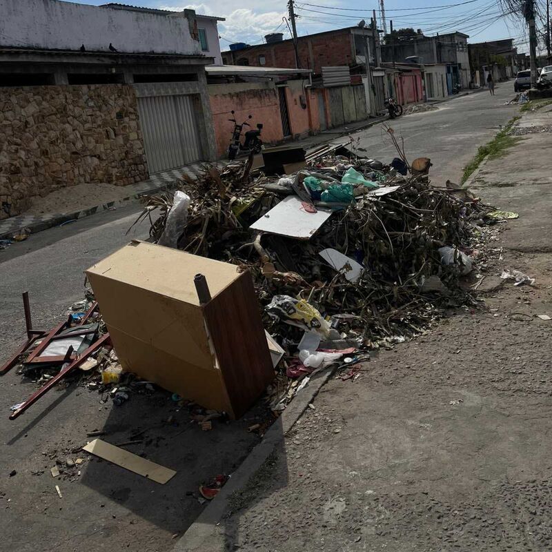 Imagem da publicação