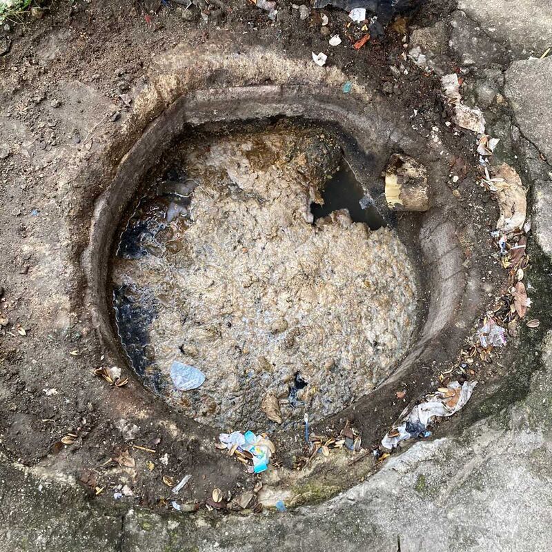 Imagem da publicação