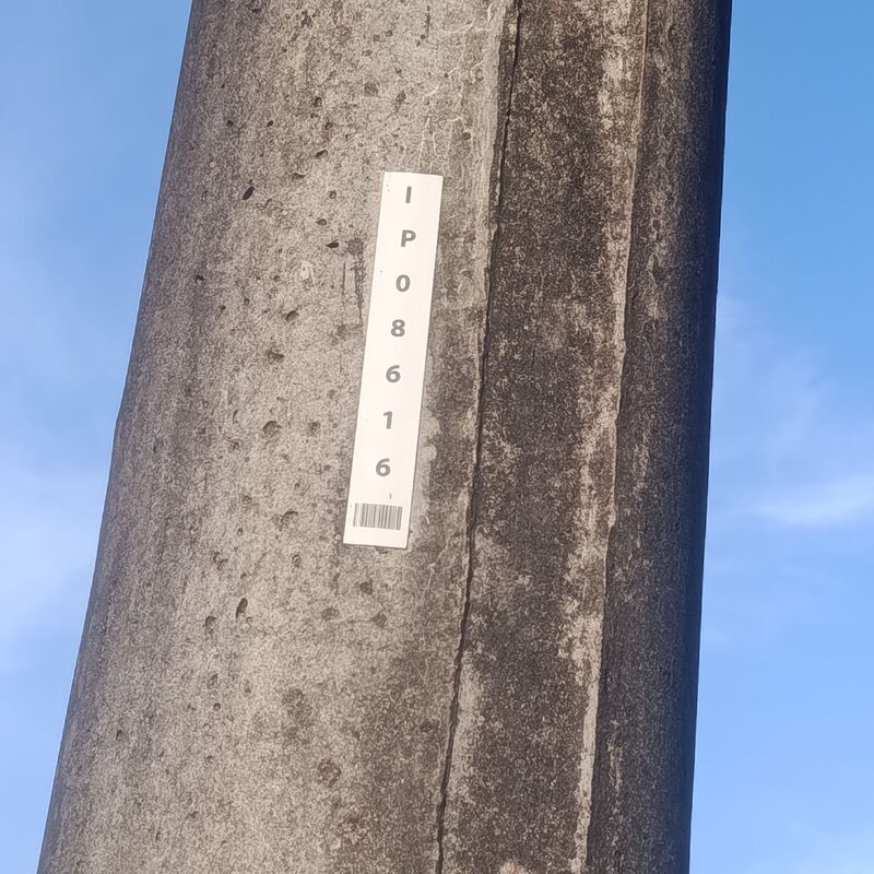 Imagem da publicação