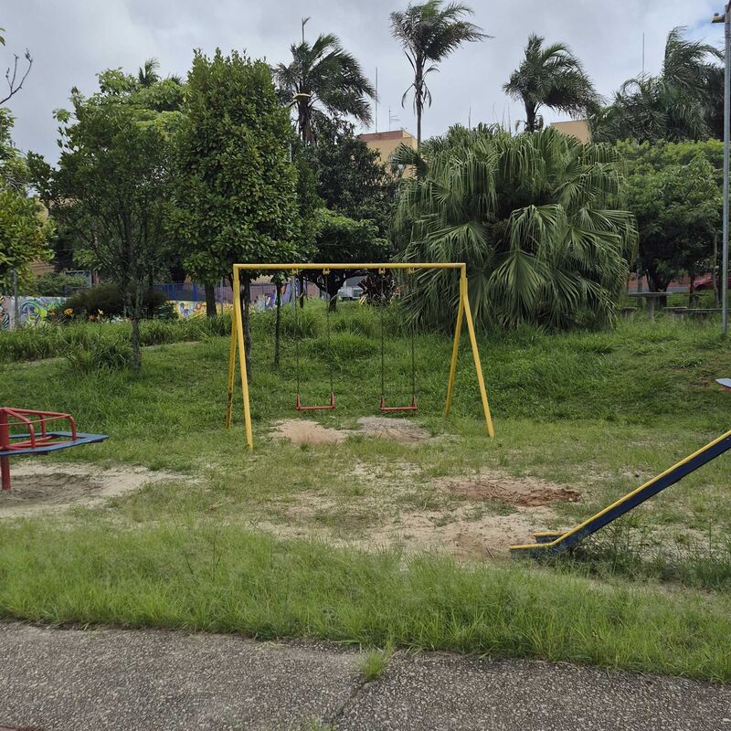 Imagem da publicação