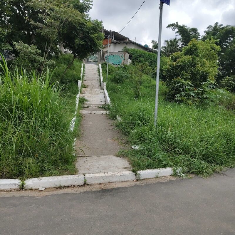 Imagem da publicação