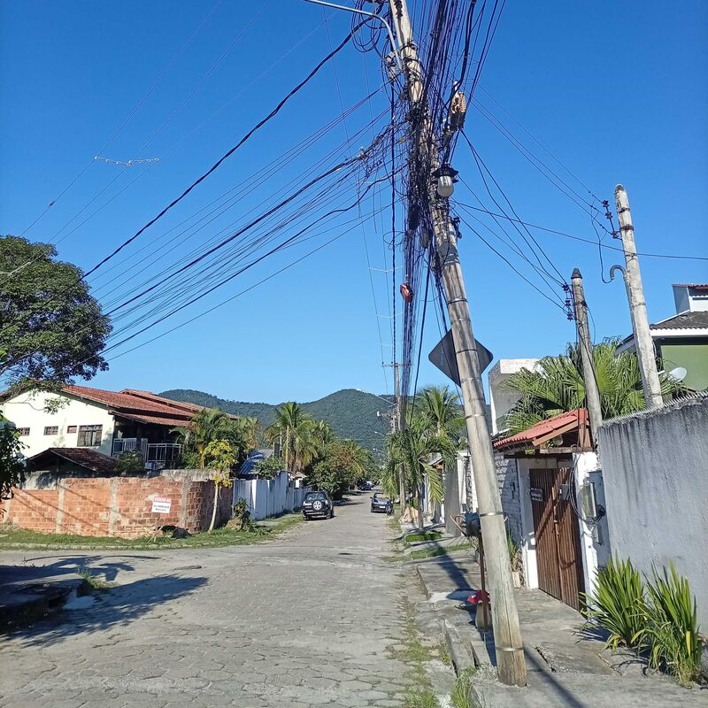 Imagem da publicação