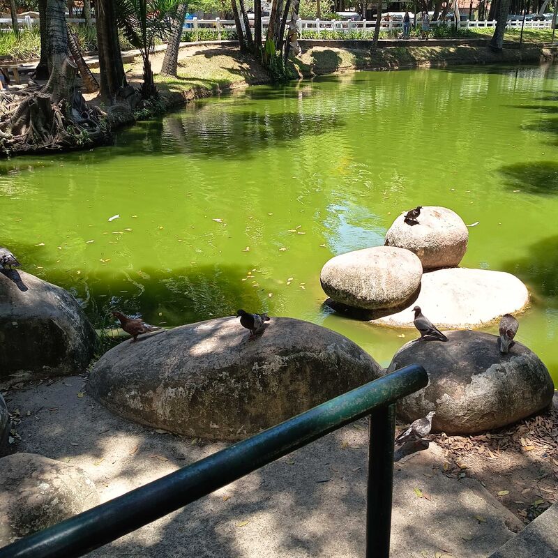 Imagem da publicação