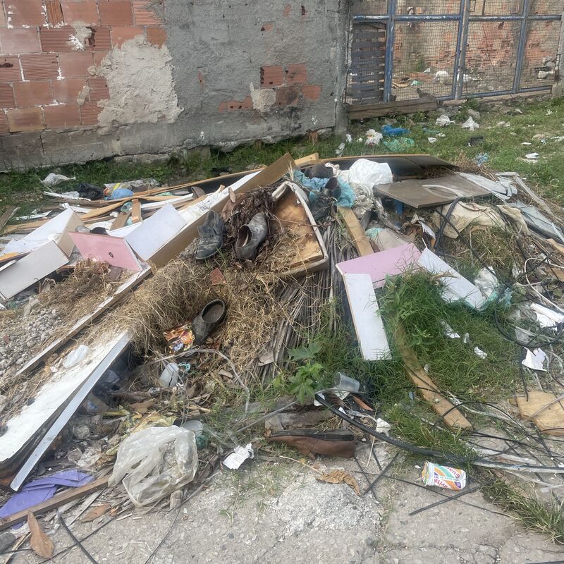 Imagem da publicação