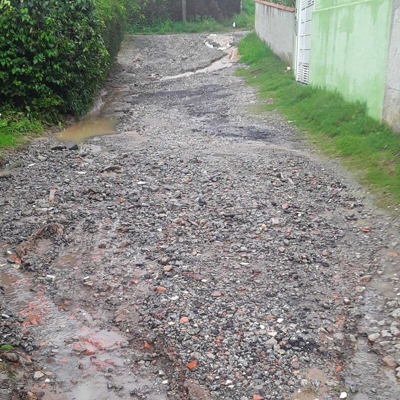 Imagem da publicação