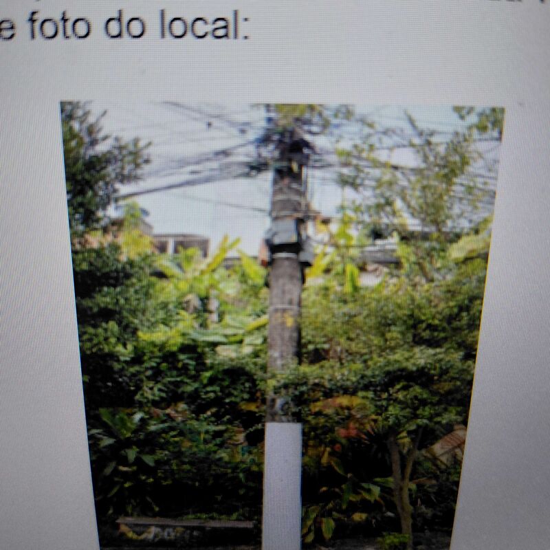 Imagem da publicação