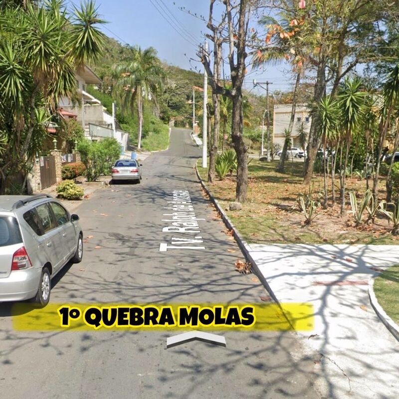 Imagem da publicação