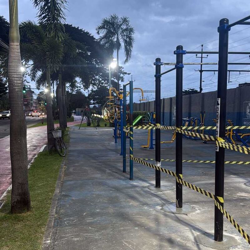 Imagem da publicação