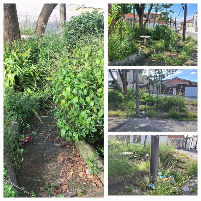 Imagem da publicação