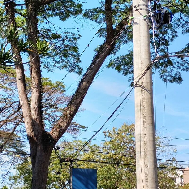 Imagem da publicação