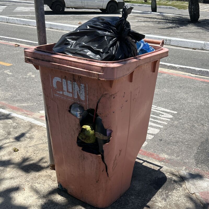 Imagem da publicação