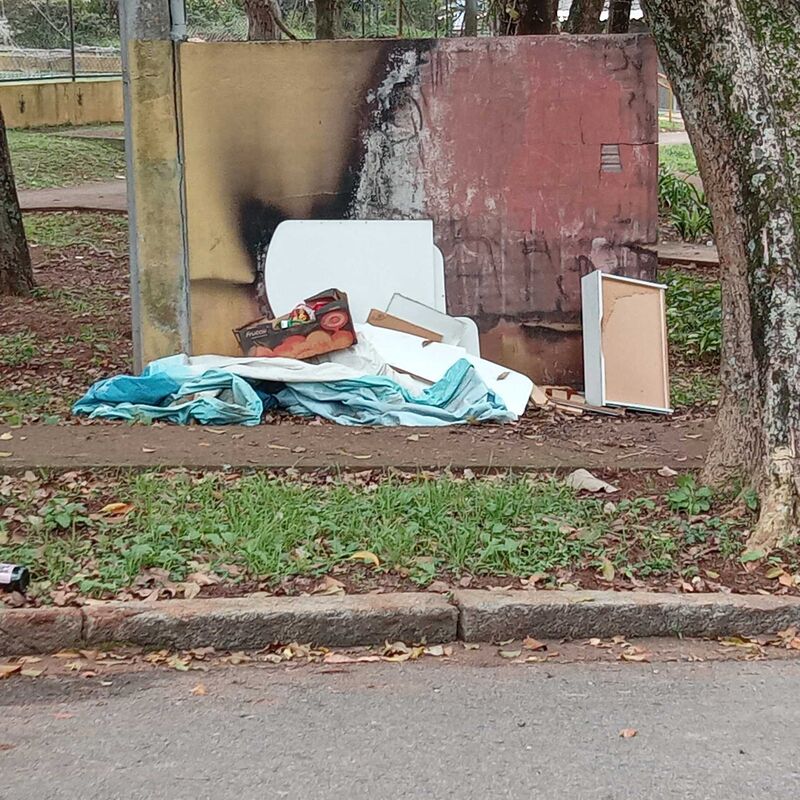 Imagem da publicação