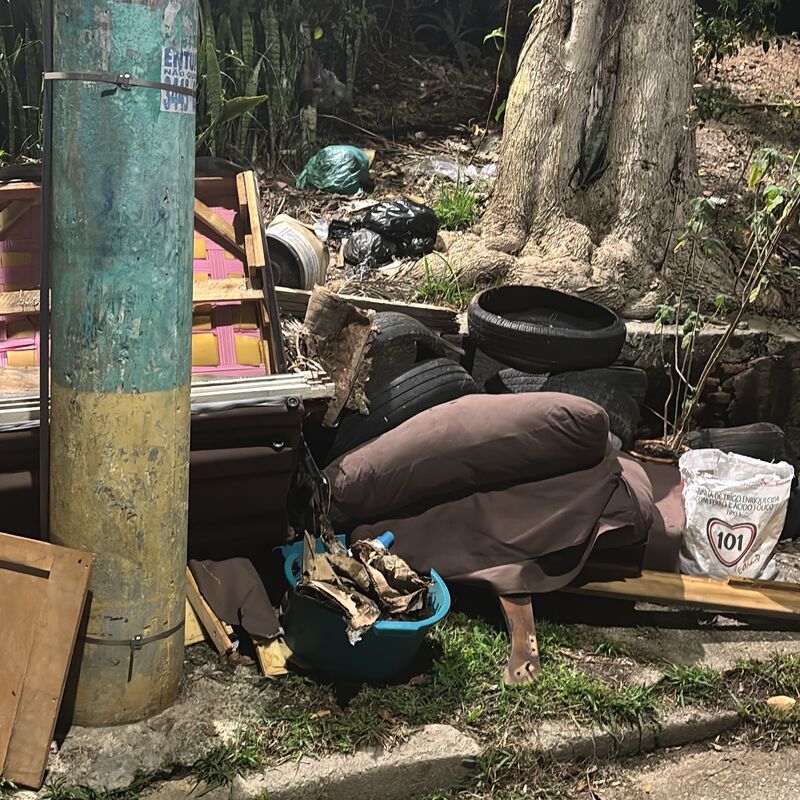 Imagem da publicação