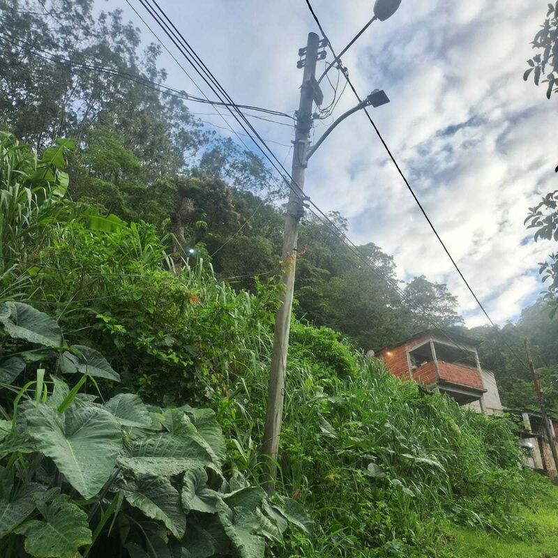 Imagem da publicação