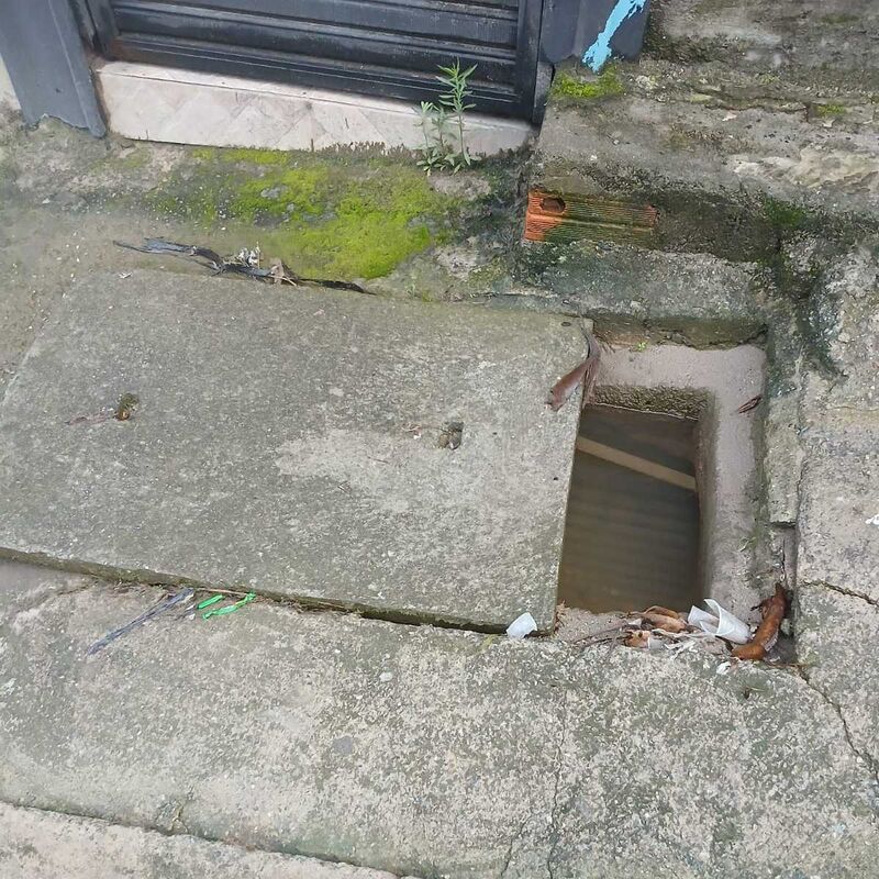 Imagem da publicação