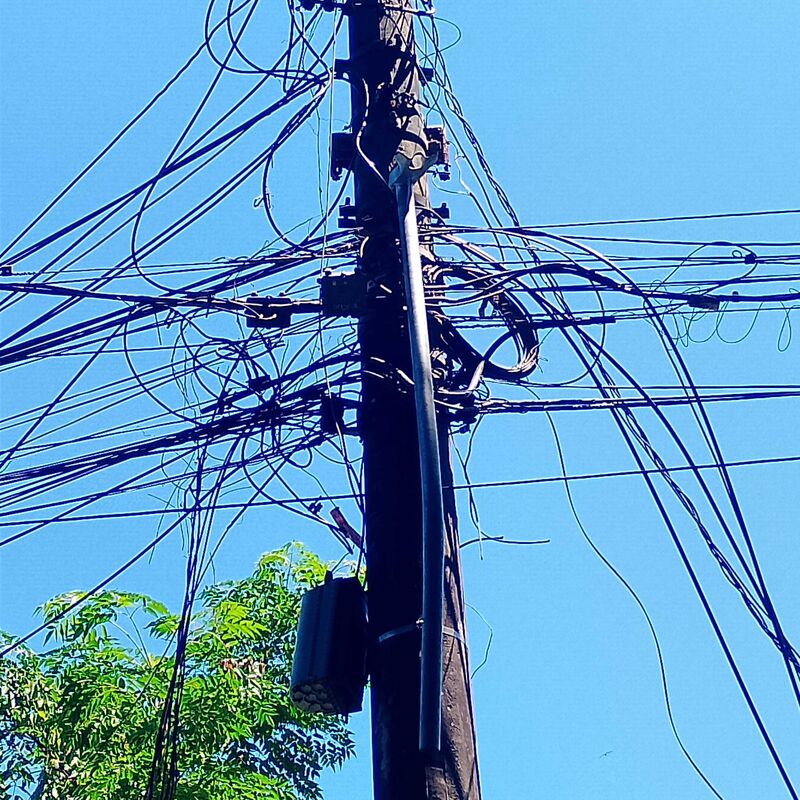 Imagem da publicação