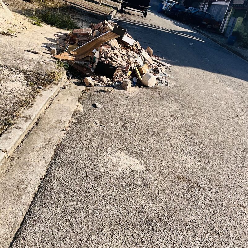 Imagem da publicação