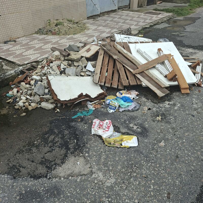 Imagem da publicação