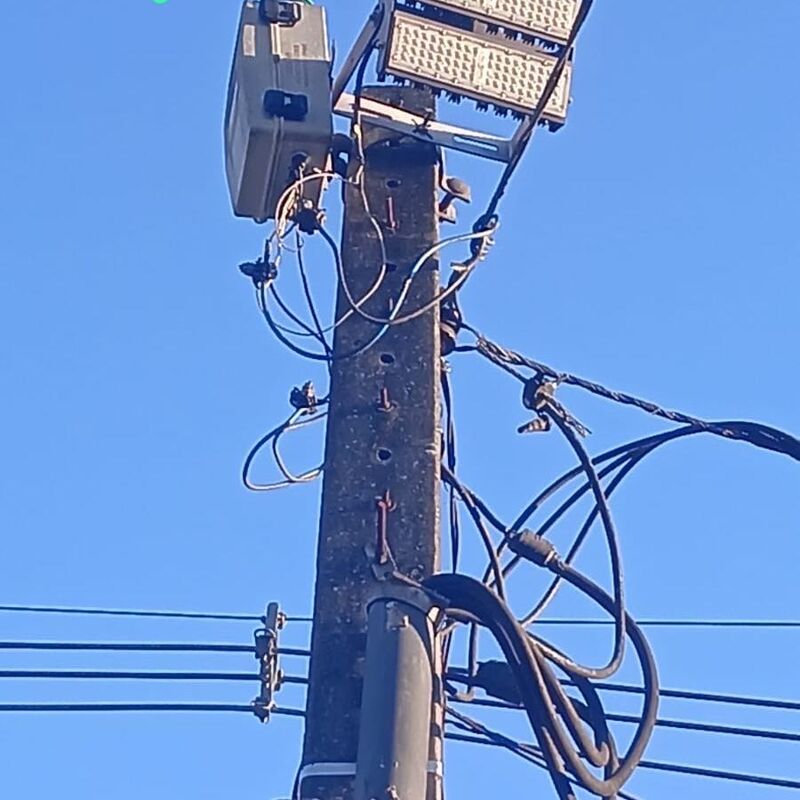 Imagem da publicação