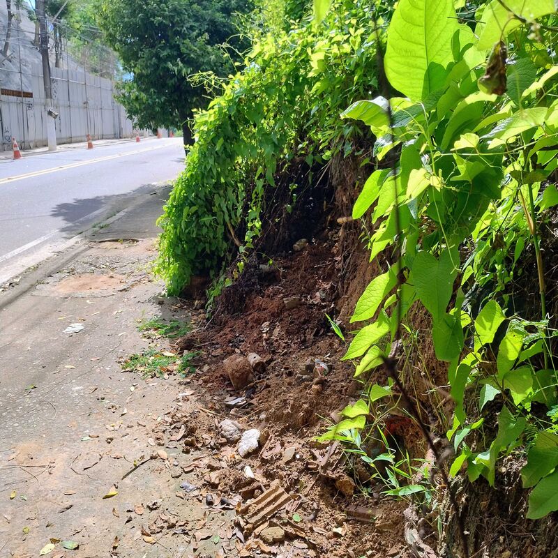 Imagem da publicação