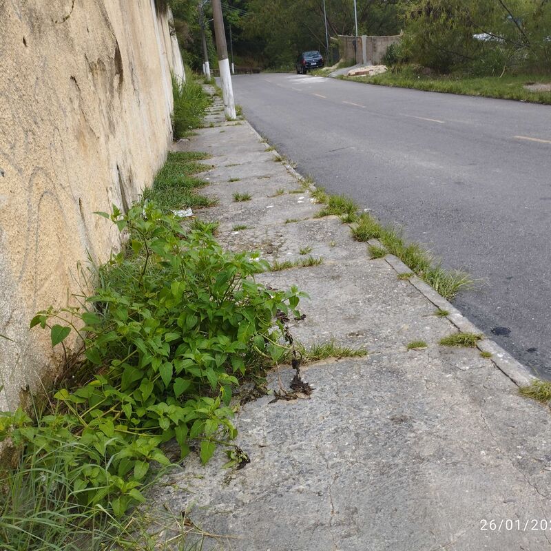 Imagem da publicação