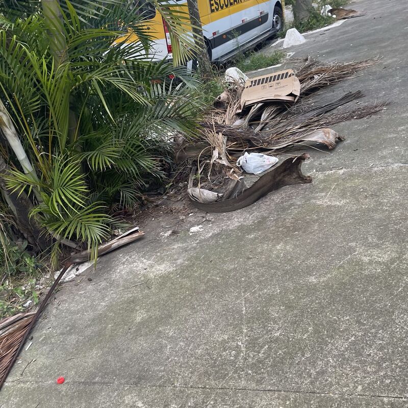 Imagem da publicação