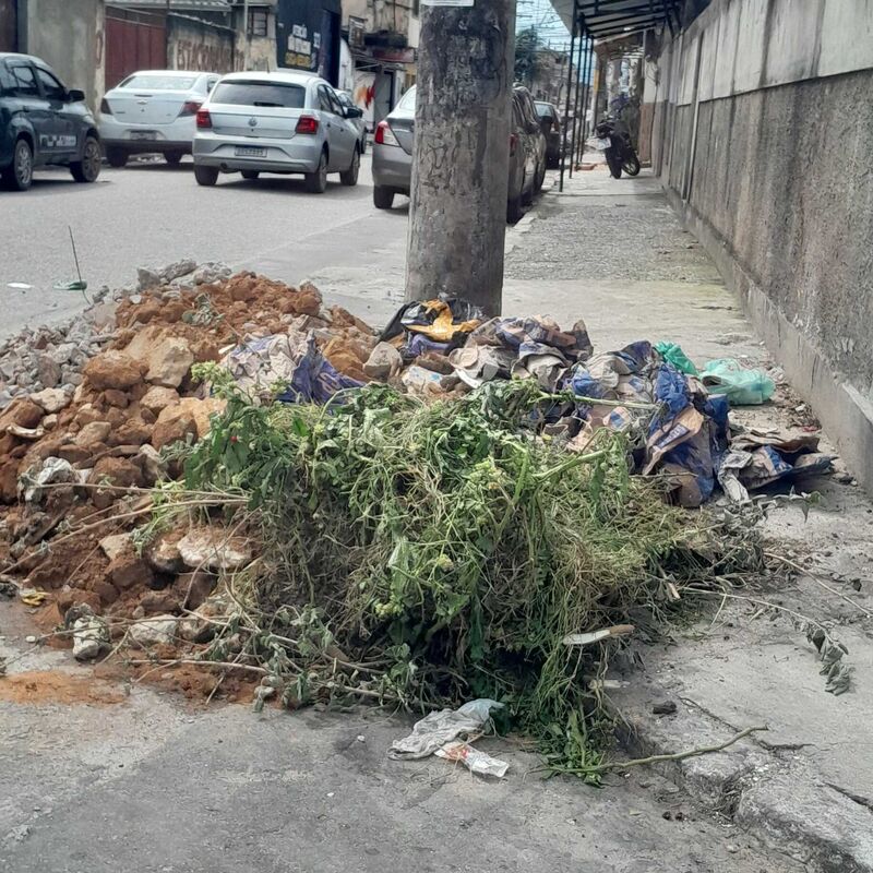 Imagem da publicação