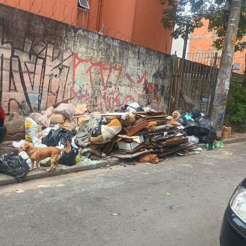 Imagem da publicação