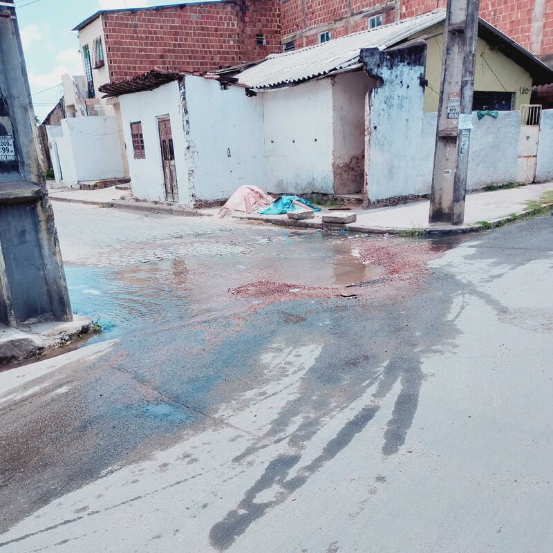 Imagem da publicação