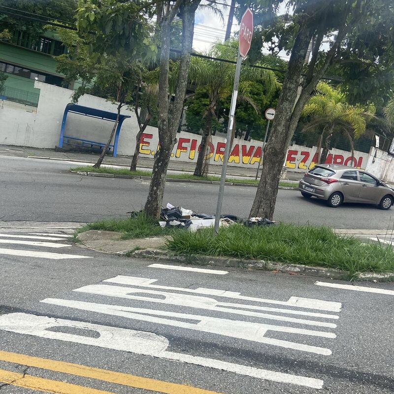 Imagem da publicação