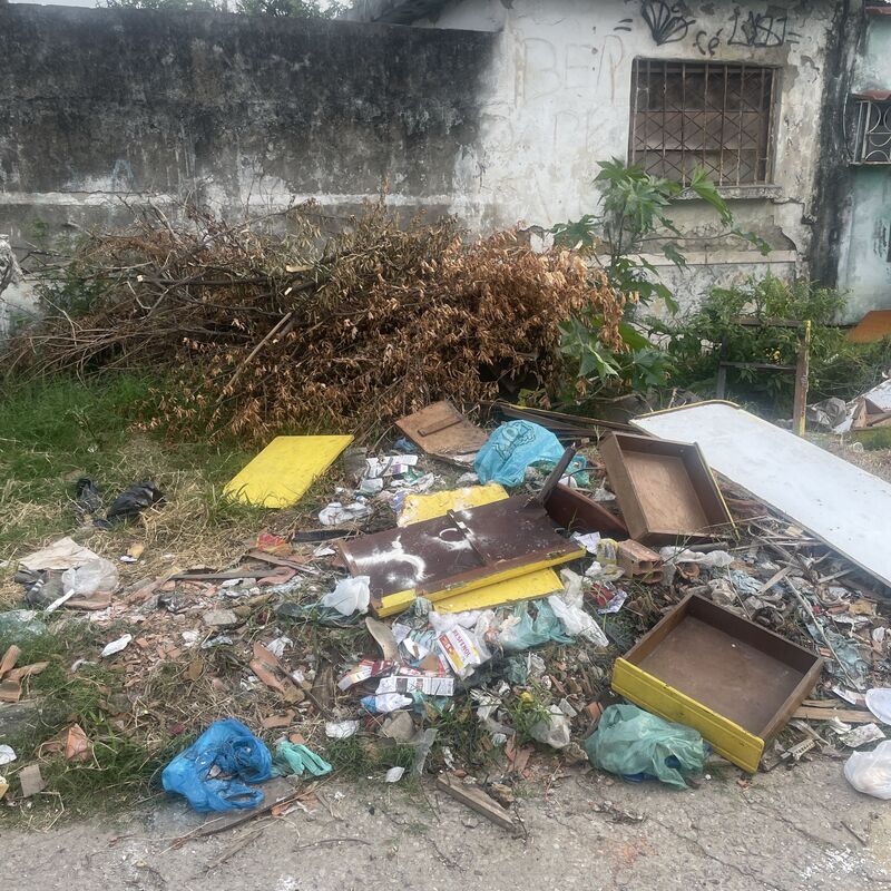 Imagem da publicação