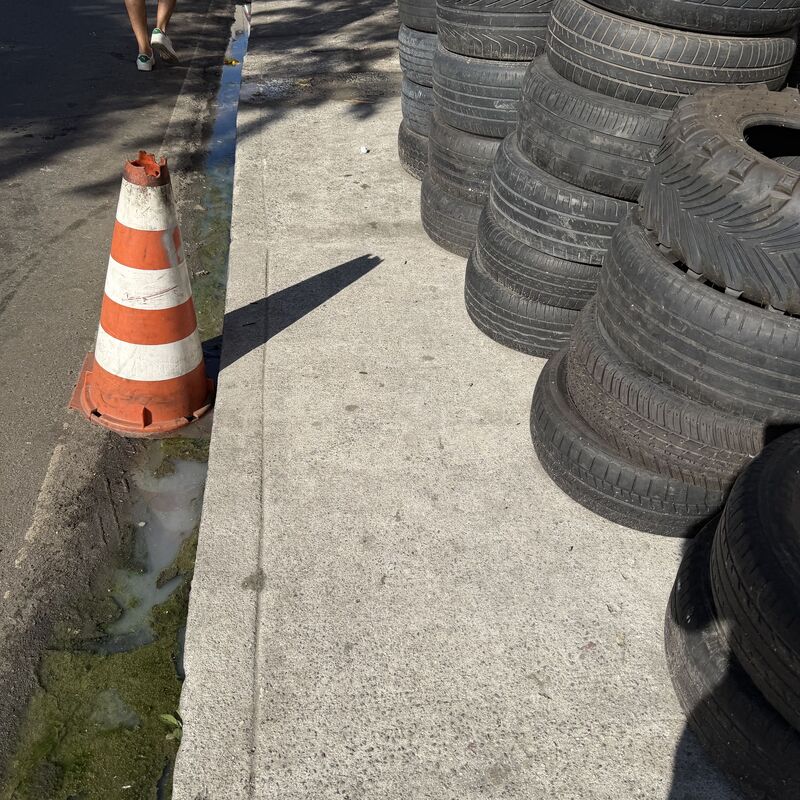 Imagem da publicação