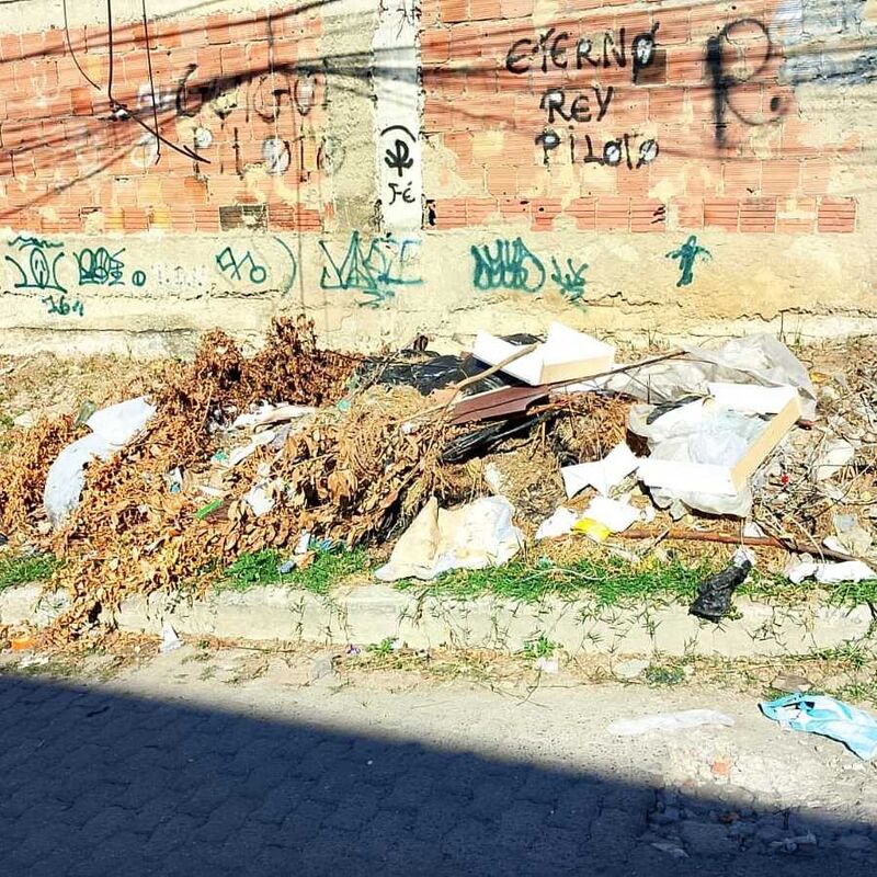 Imagem da publicação