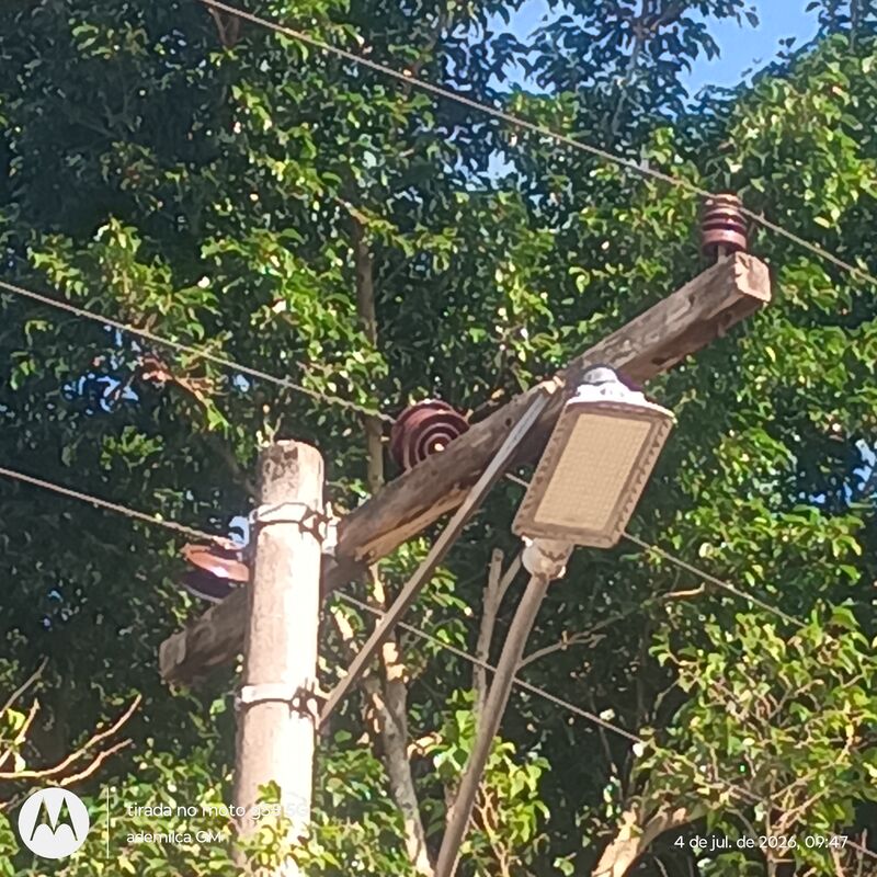 Imagem da publicação