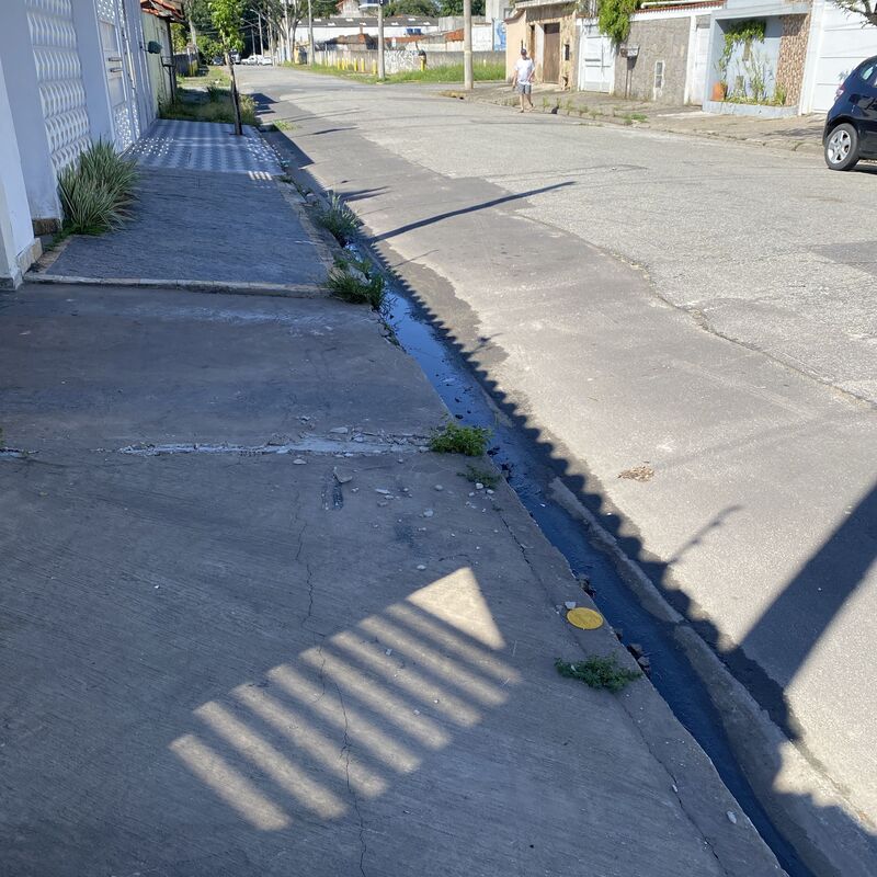 Imagem da publicação