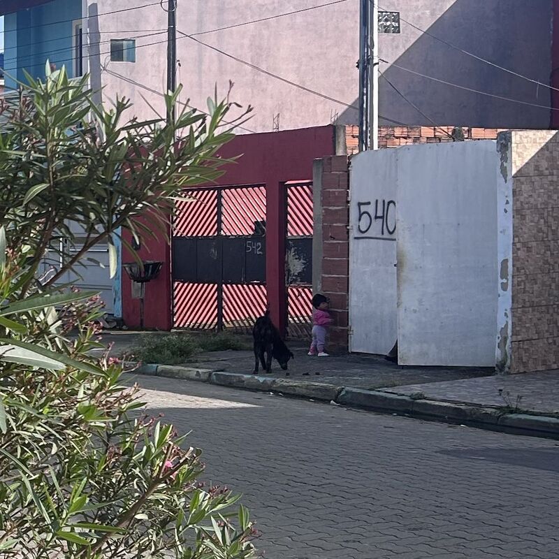 Imagem da publicação